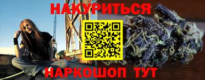 крисы Нальчик