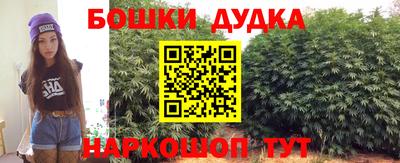 крисы Нальчик