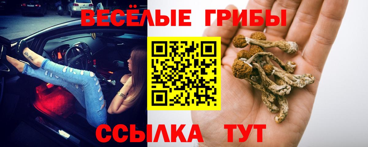 Тихвин  Псилоцибиновые грибы Magic Shrooms  купить наркотик  Вход с VPN 